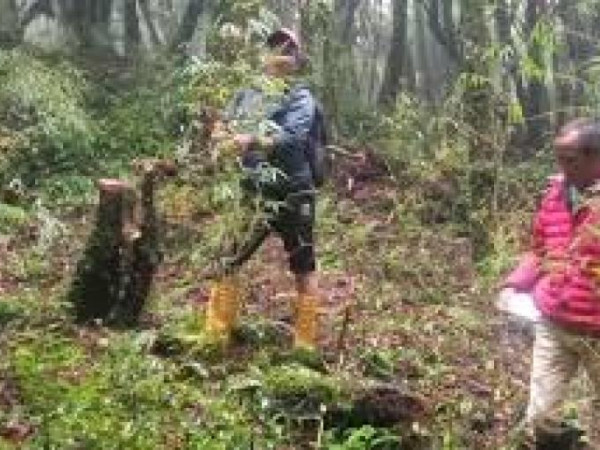 लोपोन्मुख ‘रेड पान्डा’ संरक्षणका लागि भोजपुरको चार वटा वनमा क्यामेरा जडान