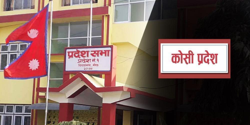 उपसभामुख काठमाडौ  हिँडेपछि कोशी प्रदेशसभा बैठक अनिश्चित