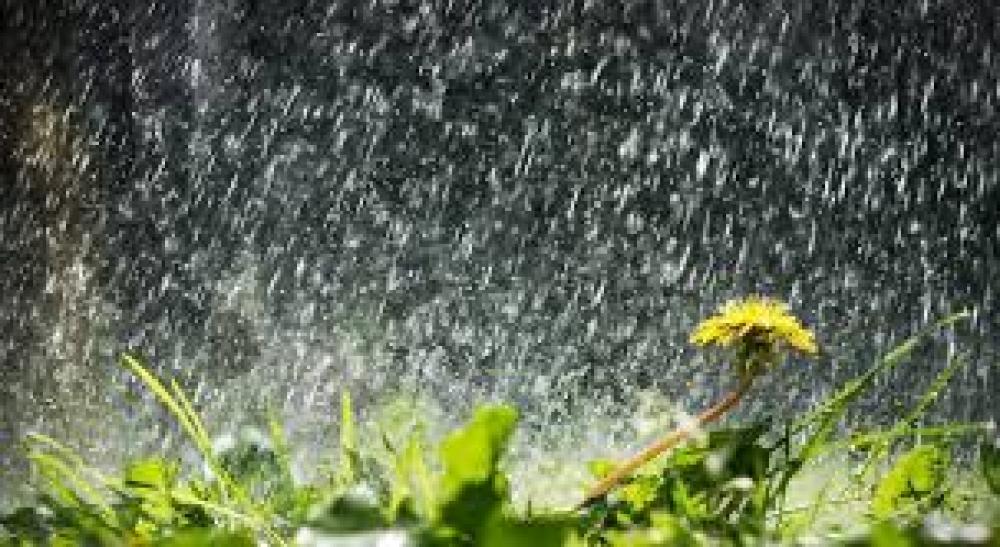 देशभर वर्षा सर्तक रहन मौसम पूर्वानुमान महाशाखाको अनुरोध