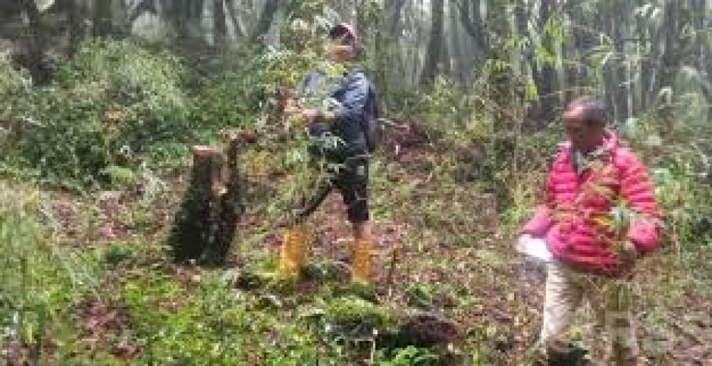 लोपोन्मुख ‘रेड पान्डा’ संरक्षणका लागि भोजपुरको चार वटा वनमा क्यामेरा जडान